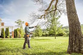 How Our Tree Care Process Works  in  Tinley Park, IL